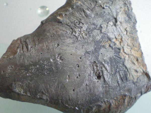 תҤԭ|תҤ۸|ԭתҤ